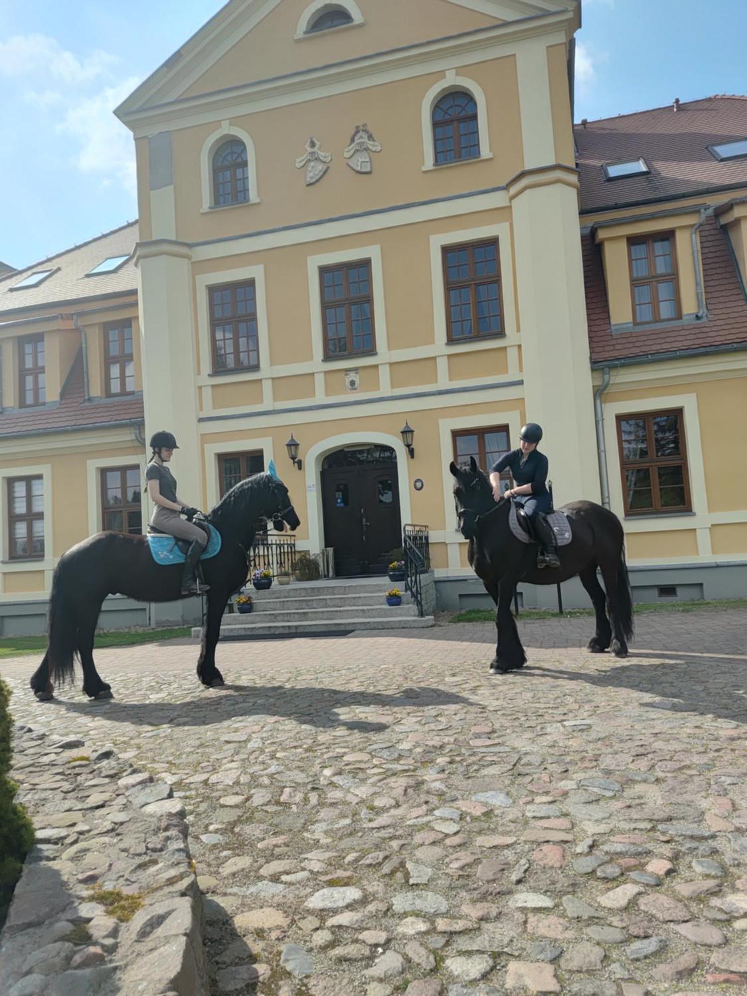 Palac W Rymaniu Екстер'єр фото